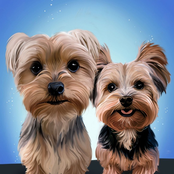 Meet your Posher, Ev, Rocky & Apollo 💖💙 Every purchase feeds a homeless dog🐾🐾 - Picture 4 of 13